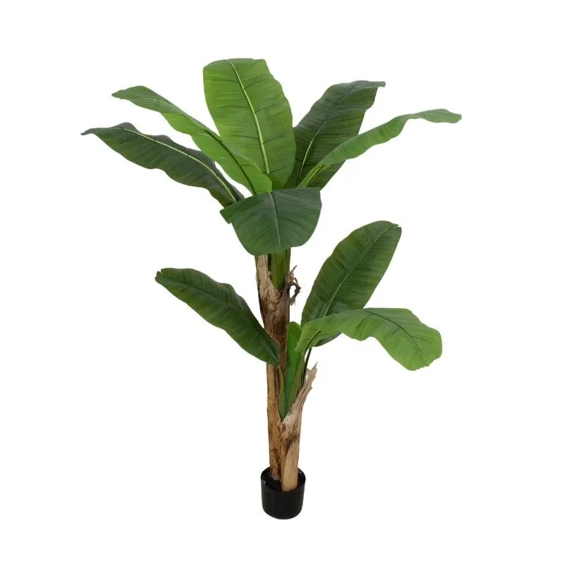 PLANTA 160cm