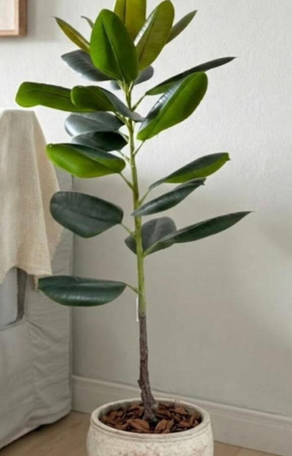 PLANTA RUBBER TOUCH 110cm