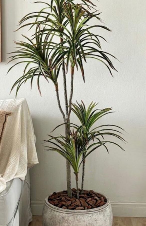 PLANTA YUCCA TOUCH 160cm