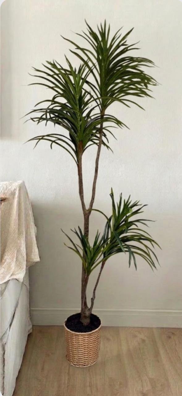 PLANTA YUCCA TOUCH 170cm